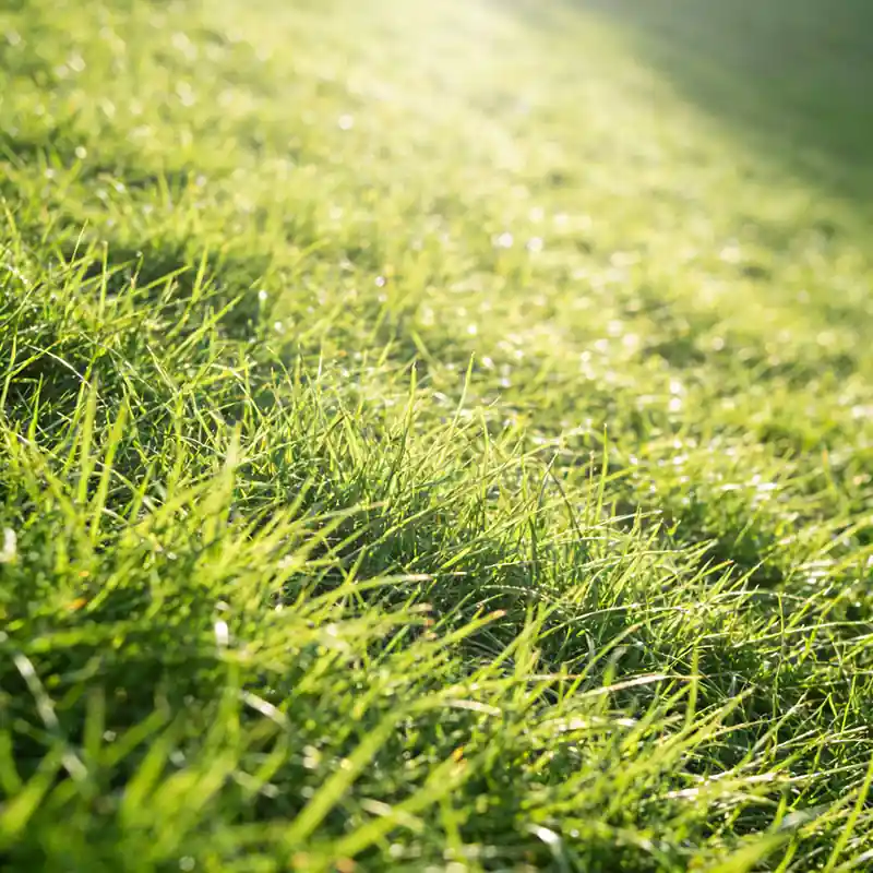 Detailed view of landscaping artificial grass-banner