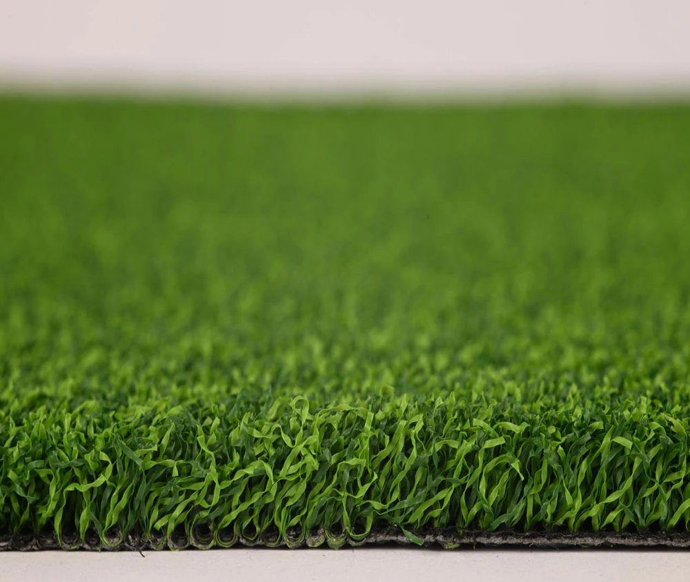 side view of curled golf course grass for putting greens featuring a non directional surface for stable ball speed and controllable direction