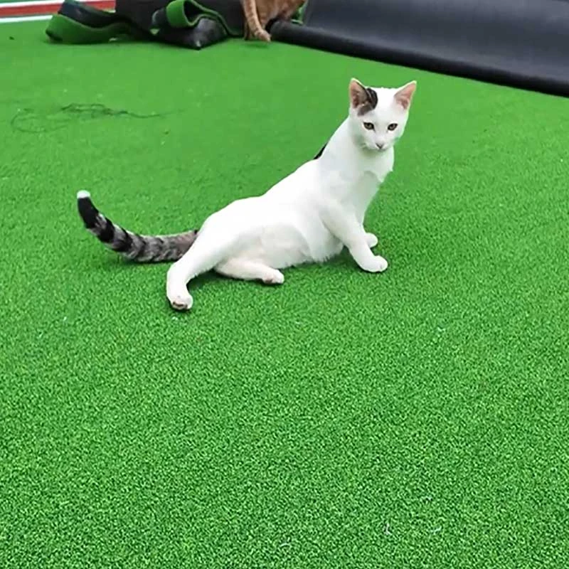 eco friendly artificial grass turf for pets 1