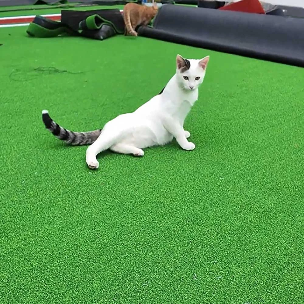 eco friendly artificial grass turf for pets