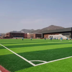 custom artificial grass soccer field stadium installation banner