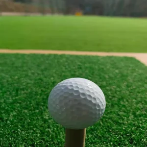 Outdoor golf practice setup featuring a golf ball on a tee with high-quality 16mm synthetic putting green turf